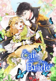 cats-bride