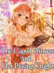 The Caged Princess and Her Passing Knight
